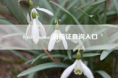 张北消防证查询入口