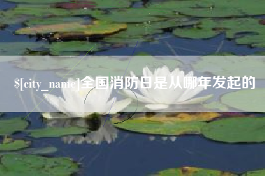 张北全国消防日是从哪年发起的