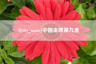 张北中国金牌第九金
