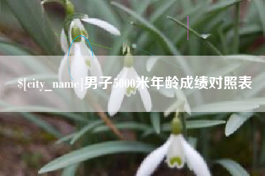 张北男子5000米年龄成绩对照表