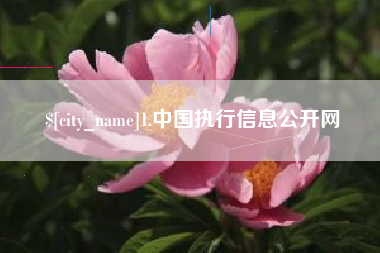 张北1.中国执行信息公开网