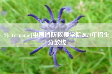 张北中国消防救援学院2024年招生分数线