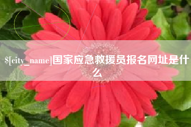 张北国家应急救援员报名网址是什么
