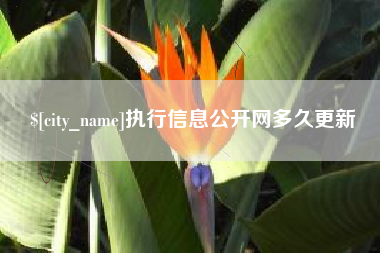 张北执行信息公开网多久更新