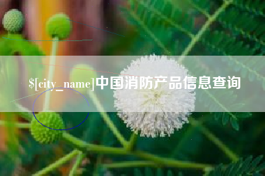 张北中国消防产品信息查询