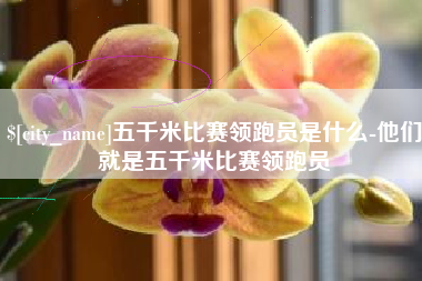 张北五千米比赛领跑员是什么-他们就是五千米比赛领跑员