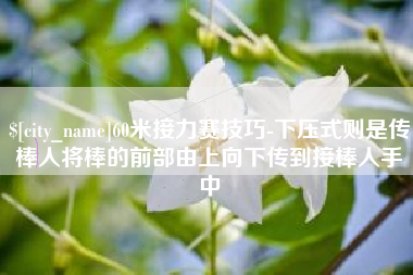 张北60米接力赛技巧-下压式则是传棒人将棒的前部由上向下传到接棒人手中