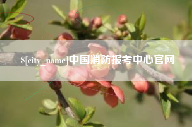 张北中国消防报考中心官网