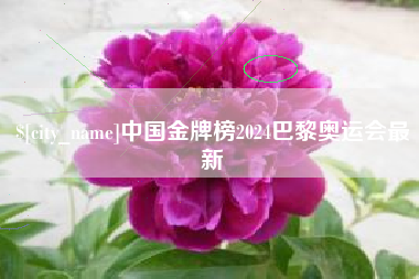 张北中国金牌榜2024巴黎奥运会最新