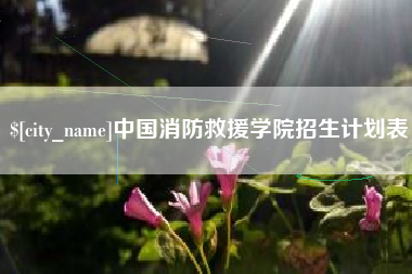 张北中国消防救援学院招生计划表