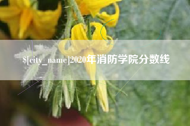 张北2020年消防学院分数线