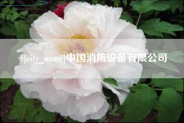 张北中国消防设备有限公司