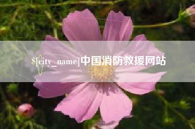 张北中国消防救援网站