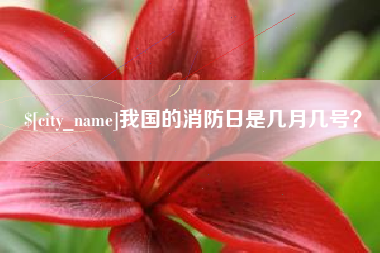 张北我国的消防日是几月几号？