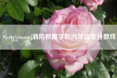 张北消防救援学院内部招生分数线