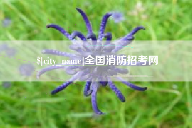 张北全国消防招考网