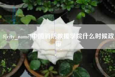 张北中国消防救援学院什么时候政审