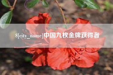 张北中国九枚金牌获得者
