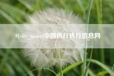 张北中国执行执行信息网