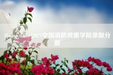 张北2021中国消防救援学院录取分数