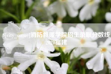 张北消防救援学院招生录取分数线2020福建