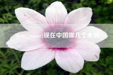 张北现在中国哪几个金牌