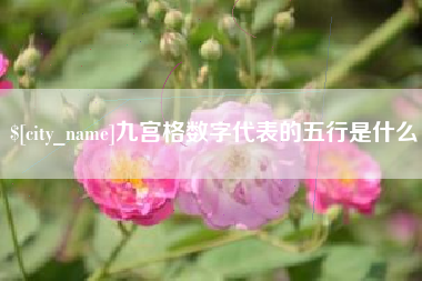 张北九宫格数字代表的五行是什么
