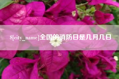张北全国的消防日是几月几日