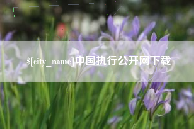 张北中国执行公开网下载