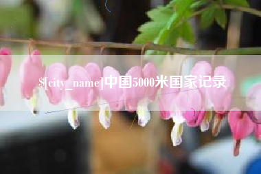 张北中国5000米国家记录