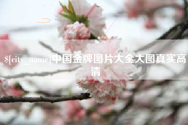 张北中国金牌图片大全大图真实高清