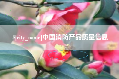张北中国消防产品质量信息