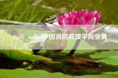 张北中国消防救援学院张勇