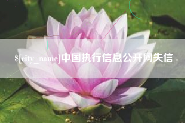 张北中国执行信息公开网失信