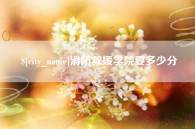张北消防救援学院要多少分