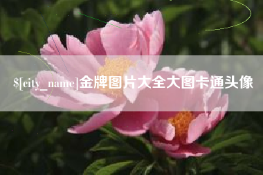 张北金牌图片大全大图卡通头像
