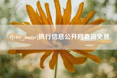 张北执行信息公开网查询免费